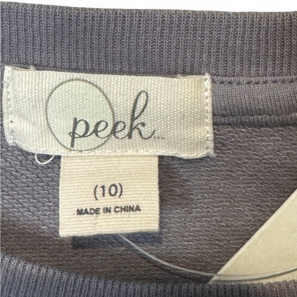 NWT-Peek Gray Dinosaur Graphic Kids Sweatshirt boys size 10 - Picture 4 of 4